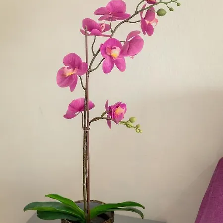 شقة Andriana Centre Flat لارنكا