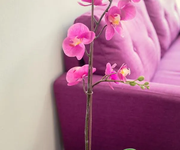 Lejlighed Andriana Centre Flat