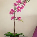 דירה Andriana Centre Flat לרנקה
